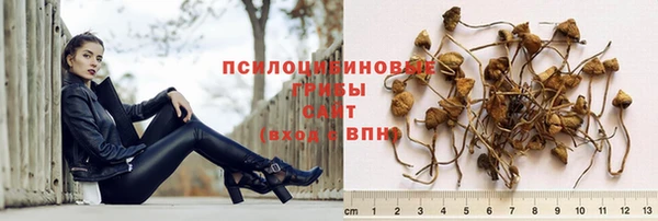 хмурый Алексин