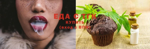 хмурый Алексин