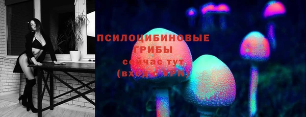 спиды Алзамай