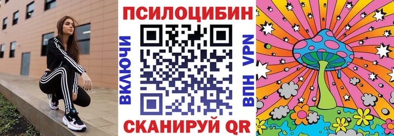 купить цена Александровск-Сахалинский Галлюциногенные грибы Cubensis
